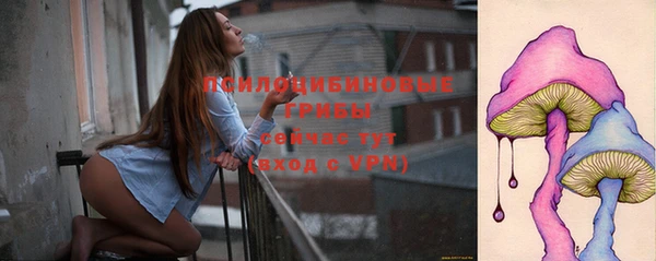 ешки Арсеньев
