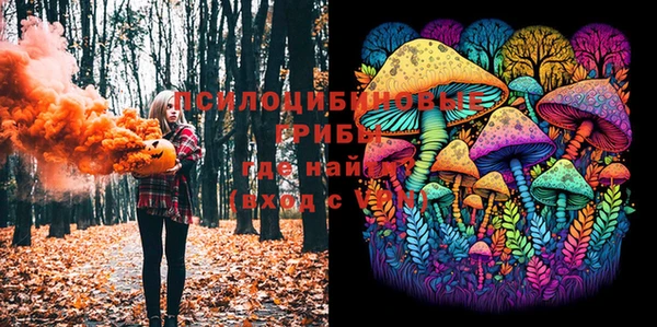 MDMA Premium VHQ Аркадак