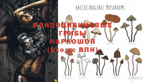 ешки Арсеньев
