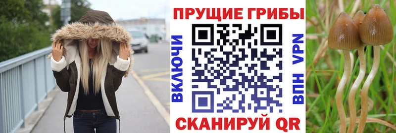 наркотики Мончегорск Галлюциногенные грибы мухоморы